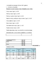 Biznesa plāns 'Biznesa plāns', 32.