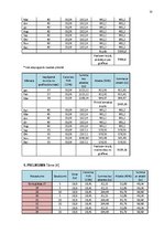 Biznesa plāns 'Biznesa plāns', 33.