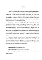 Referāts 'Dzīvojamās telpas īres līguma izbeigšana', 3.