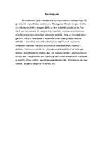 Referāts 'Minimālisms', 15.