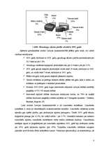 Referāts 'Graudu un cukurbiešu ražošana', 6.