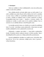 Referāts 'SIA dibināšana', 20.