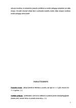 Referāts 'Spēļu terapijas metožu pielietošana sociālā pedagoga darbā', 7.