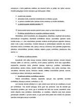 Referāts 'Spēļu terapijas metožu pielietošana sociālā pedagoga darbā', 19.