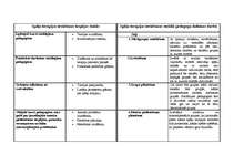 Referāts 'Spēļu terapijas metožu pielietošana sociālā pedagoga darbā', 62.
