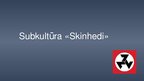 Prezentācija 'Subkultūra "Skinhedi"', 1.