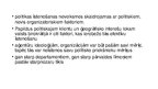 Prezentācija 'Birokrātijas politika', 11.