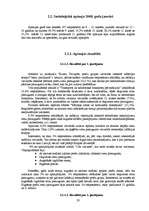 Referāts 'Inflācijas ietekme uz patērētāju', 16.