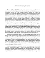 Eseja 'Spirtu lietošanas negatīvie aspekti', 1.