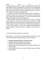 Referāts 'Žurnālistu ētikas pamatnormas', 6.