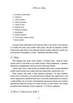 Referāts 'Žurnālistu ētikas pamatnormas', 8.