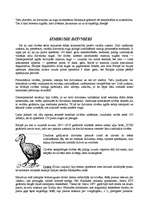 Referāts 'Sarkanā grāmata', 6.