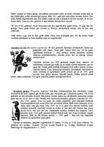 Referāts 'Sarkanā grāmata', 7.