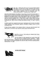 Referāts 'Sarkanā grāmata', 8.