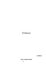 Diplomdarbs 'Pedagoga loma tikumisko vērtību veidošanā vecākā vecumposma bērniem pedagoģiskaj', 59.