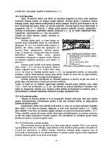 Referāts 'Monolītās grīdas', 14.