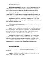 Konspekts 'SIA "Pasaku nams" raksturojums', 2.