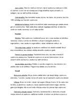 Konspekts 'SIA "Pasaku nams" raksturojums', 3.