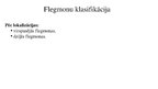 Prezentācija 'Flegmona', 9.