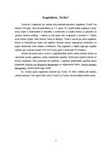 Konspekts 'Viss par augstskolu "Turība"', 2.