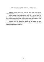 Konspekts 'Viss par augstskolu "Turība"', 9.