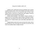 Konspekts 'Viss par augstskolu "Turība"', 10.