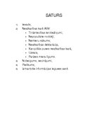 Referāts 'Neatkarības karš Amerikas Savienotajās Valstīs', 1.