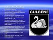 Prezentācija 'Gulbene', 2.
