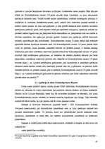 Diplomdarbs 'Krimināllietas iztiesāšana apelācijas instancē', 45.