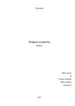 Referāts 'Zvaigznes un planētas', 1.