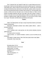 Referāts 'Zvaigznes un planētas', 8.