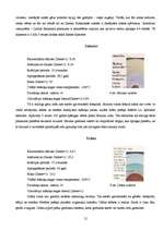 Referāts 'Zvaigznes un planētas', 12.