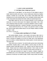 Referāts 'Apavu vēsture', 6.