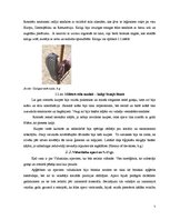 Referāts 'Apavu vēsture', 7.