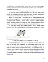 Referāts 'Apavu vēsture', 10.