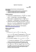 Paraugs 'Slīpi pret horizontu izsviesta ķermeņa kustība', 2.