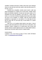 Eseja 'Bērnu brīvība un drošība interneta vidē', 2.