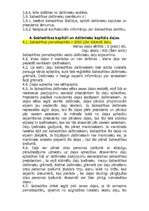 Paraugs 'Uzņēmuma statūti', 4.