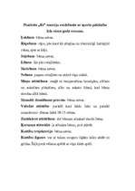 Referāts 'Skolas sports', 3.