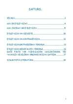 Referāts 'Epilepsija', 2.