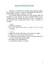 Referāts 'Epilepsija', 4.