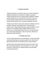 Referāts 'Vērtspapīru tirgus', 1.