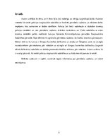 Referāts 'Pārrobežu vajāšana', 2.