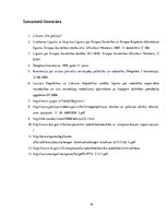 Referāts 'Pārrobežu vajāšana', 16.