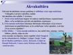 Prezentācija 'Zivsaimniecības nozare Latvijā', 13.