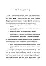 Konspekts 'Pārvaldes un vadīšanas jēdzieni, to satura analīze.Pārvaldes funkciju klasifikāc', 1.