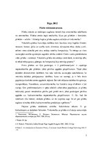 Konspekts 'Viduslaiku pilsētas. Amatniecība un tirdzniecība Eiropā feodālisma apstākļos. Ha', 2.