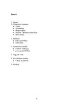 Referāts 'Indijas filosofija', 13.