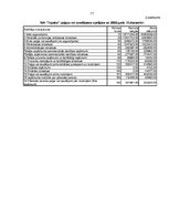 Referāts 'SIA "T" finansiālo rādītāju analīze', 17.