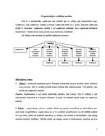 Referāts 'Organizācijas vadītāja analīze', 1.